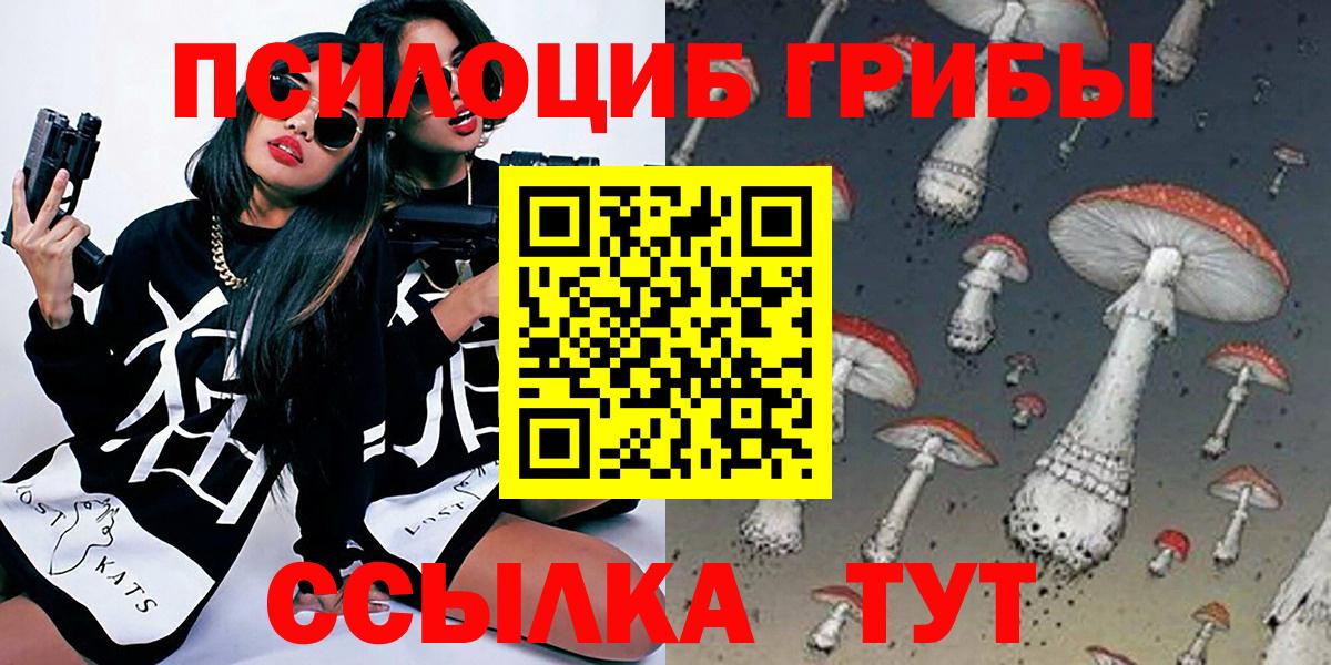 Псилоцибиновые грибы Cubensis Дивногорск