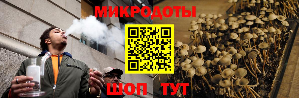 Галлюциногенные грибы GOLDEN TEACHER  Вход с VPN  Дивногорск 